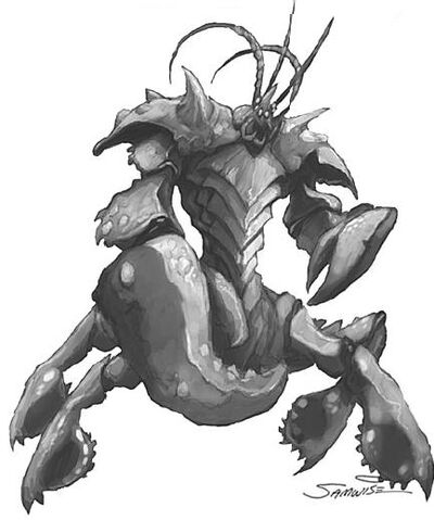 File:Makruraprawn.jpg