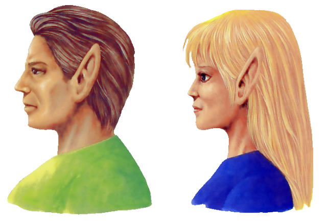 Arquivo:Hylians.png