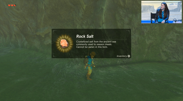 Legend-of-Zelda-Breath-of-the-Wild-Rock-Salt.png