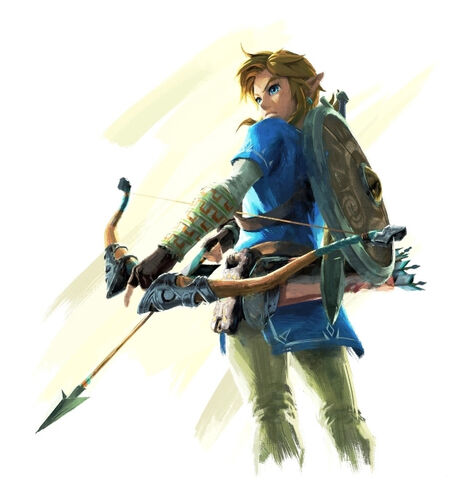 ファイル:リンクブレス オブ ザ ワイルドmain.jpg