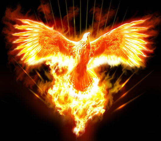 Archivo:Fenix.jpg