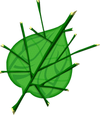 Deku Leaf