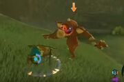 Bokoblin BotW.jpg