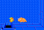 Dod.gif