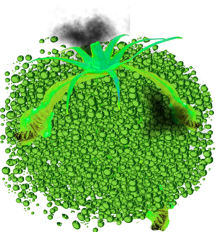 Datei:Tomate Radioactive.png