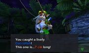Majora's Mask 3D Cuccofish (7cm)(Swamp Fishing Hole) zlCfzTcJ30wtJRyv21