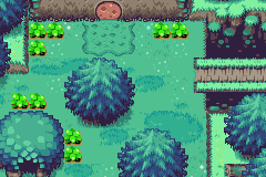 Minish Woods
