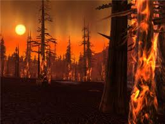 Burning forest.