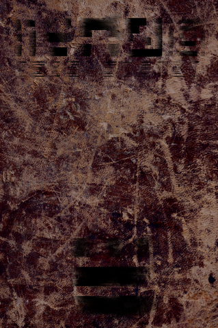 File:Starzenicon.png