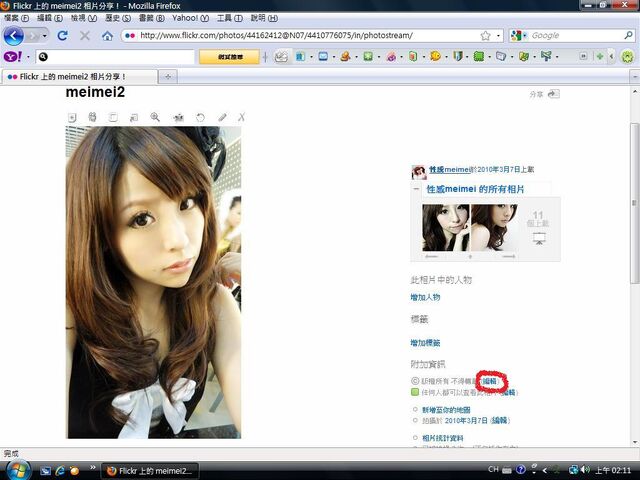 檔案:Flickr authorize3.jpg