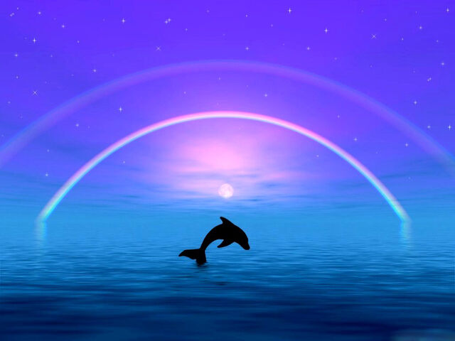 File:Dolphin-Rainbow-HD.jpg