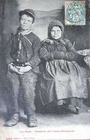 Fichier:Atrophiés hautes montagnes.jpg