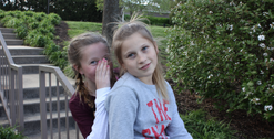 Gracey 101