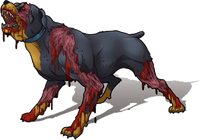 Zombie dog1