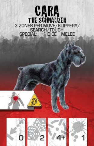 File:Dog Companion Schnauzer.jpg