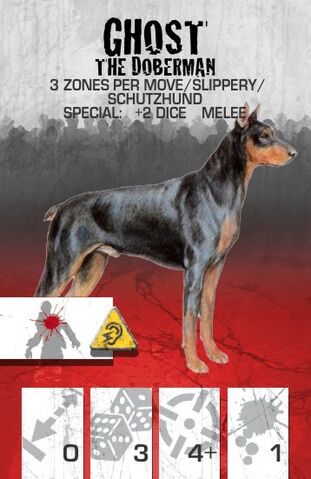 File:Dog Companion Doberman.jpg