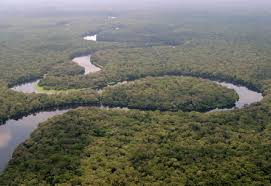 Congobasin