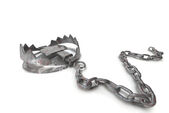 Bear Trap