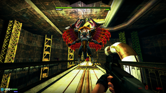 Bahamut healthbar