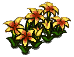 Yellow Flower Bed