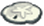 Sand Dollar
