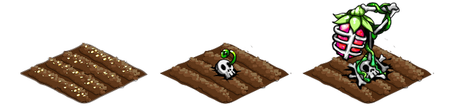 File:Skellyberry stages.png