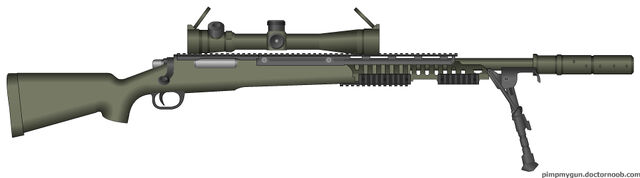 File:Custom M24 (2).jpg