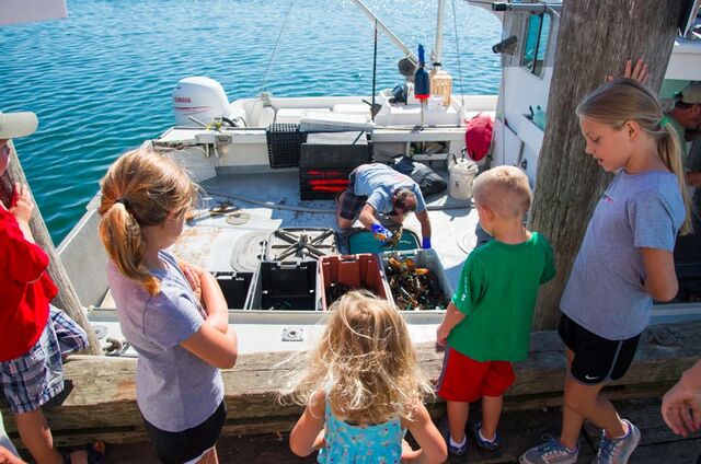 File:Re meetthefleet kids lobster.jpg