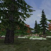 Preview borealforest