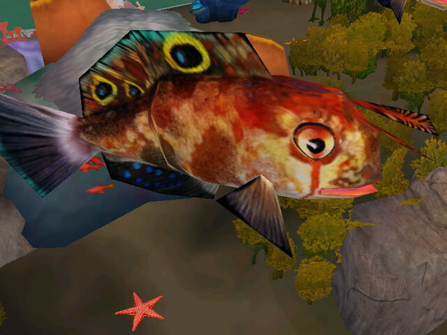 File:Blenny.jpg