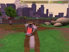 Thylacoleo