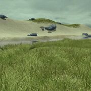 Preview freshwater