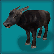 TamarawAvatar