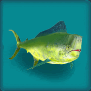 MahiMahi