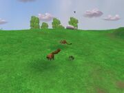 Ambient pack