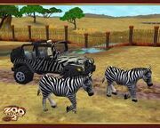 ImagesCA9MX8QK