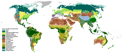 Biome Map