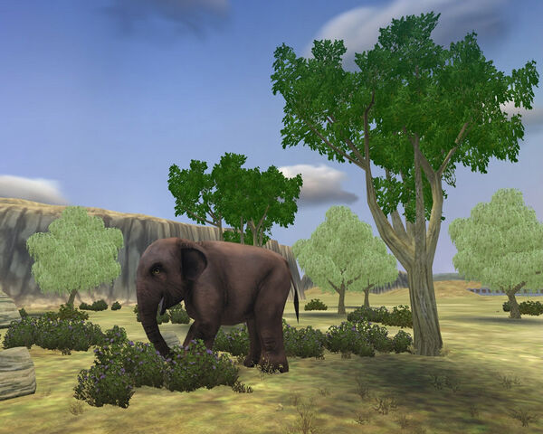 File:AsianElephantScreenshot.jpg