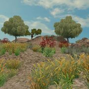 Preview semidesert