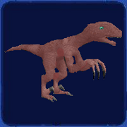 Jprator