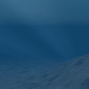 Preview pelagic