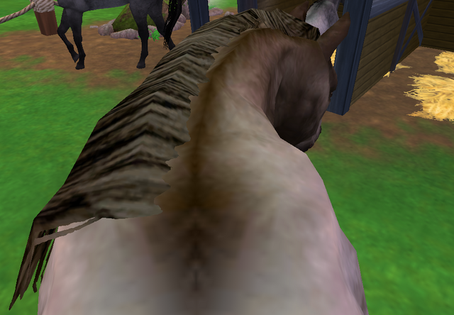 File:Riding Mustang.png