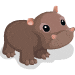 75 hippo