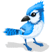 File:75 blueJay.gif