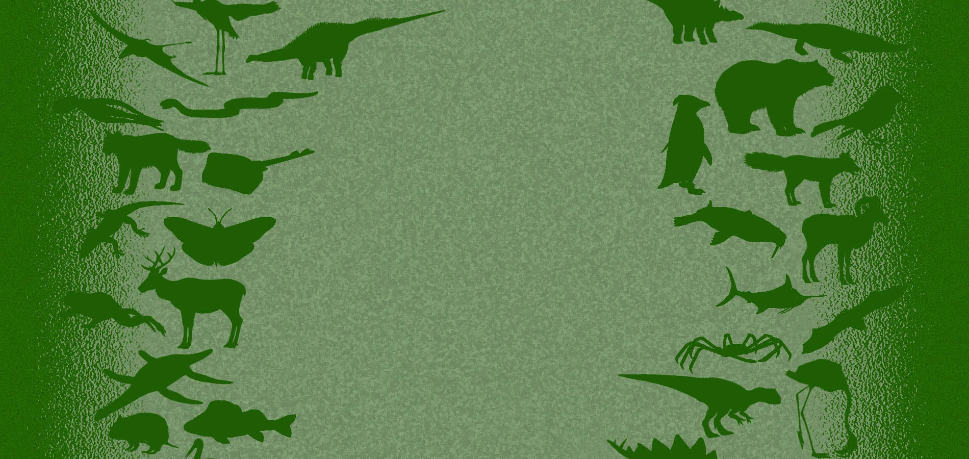 Zt2 Download Directory