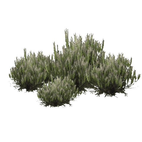 Sagebrush (Fauna) | ZT2 Download Library Wiki | FANDOM powered by Wikia