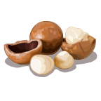 TropicalTrailMix MacadamiaNuts-icon