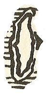 HiberniaMapa.png