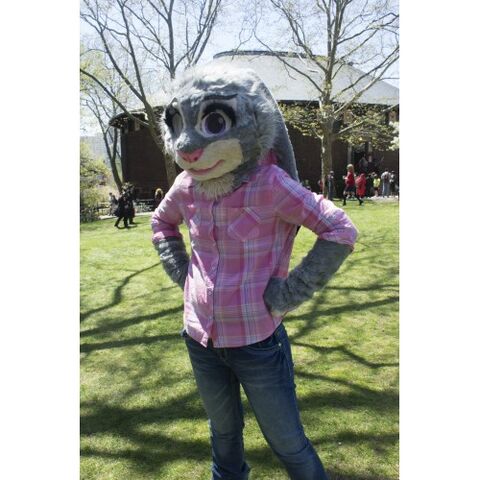 Plik:Judy 6-500x500.jpg